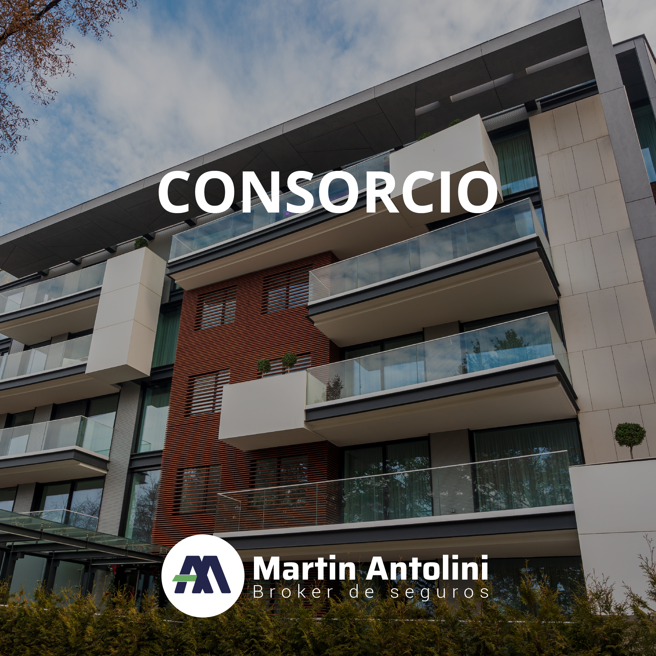Integral de Consorcio
